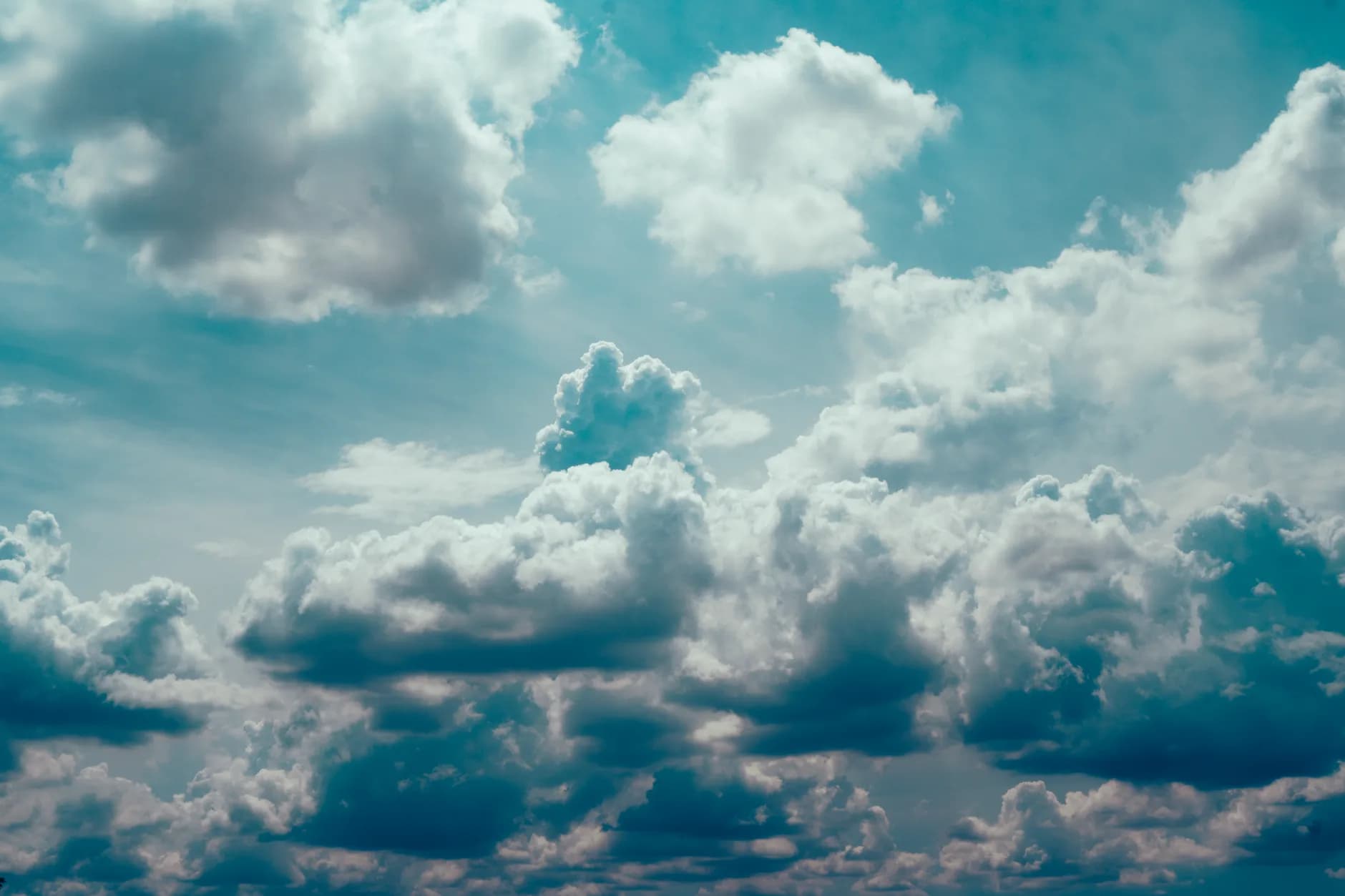 Team di lavoro che collabora online tramite cloud
